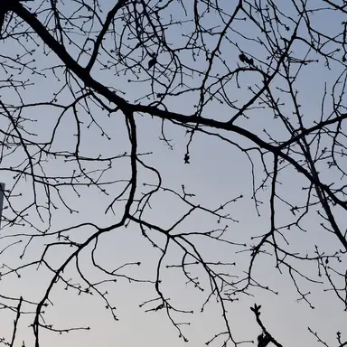 Profile image of 기아초