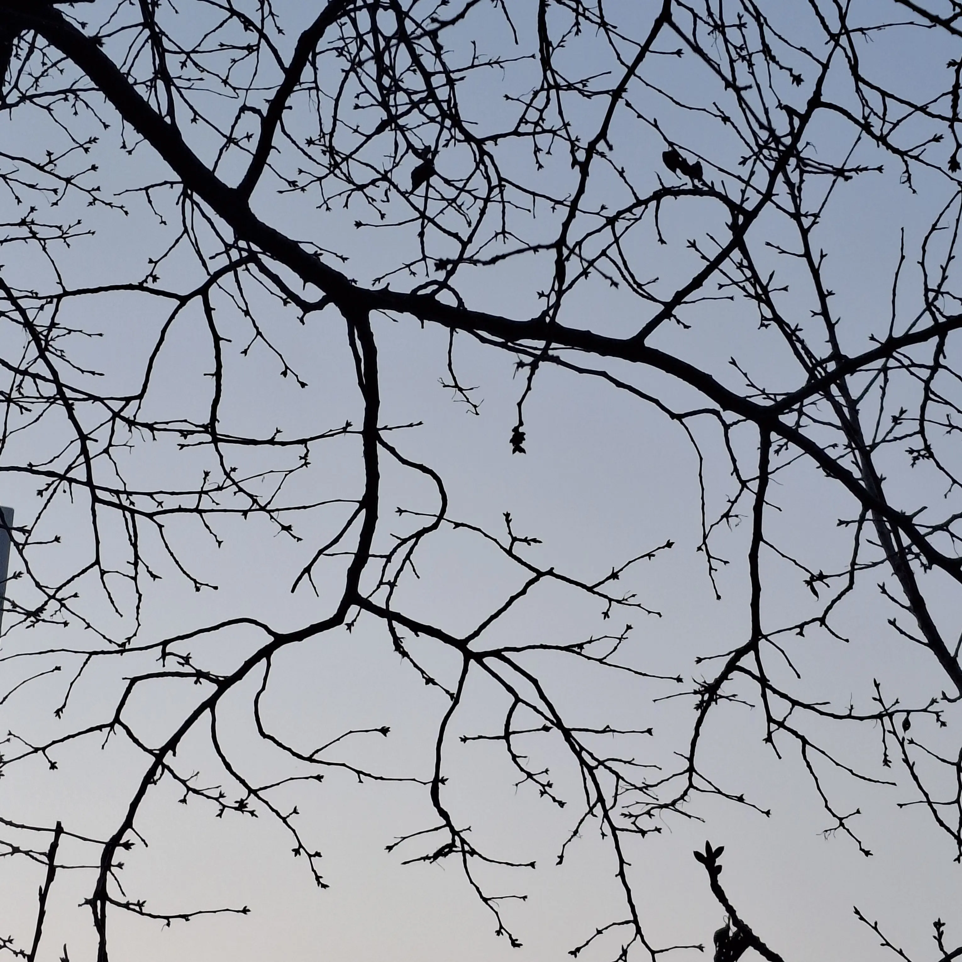 RoomyBrug4813의 피겨스케이팅 선수