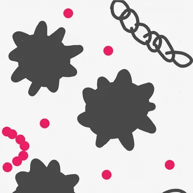 Profile image of 교메이