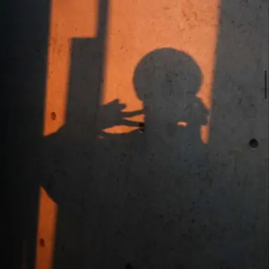 Profile image of 向井康二