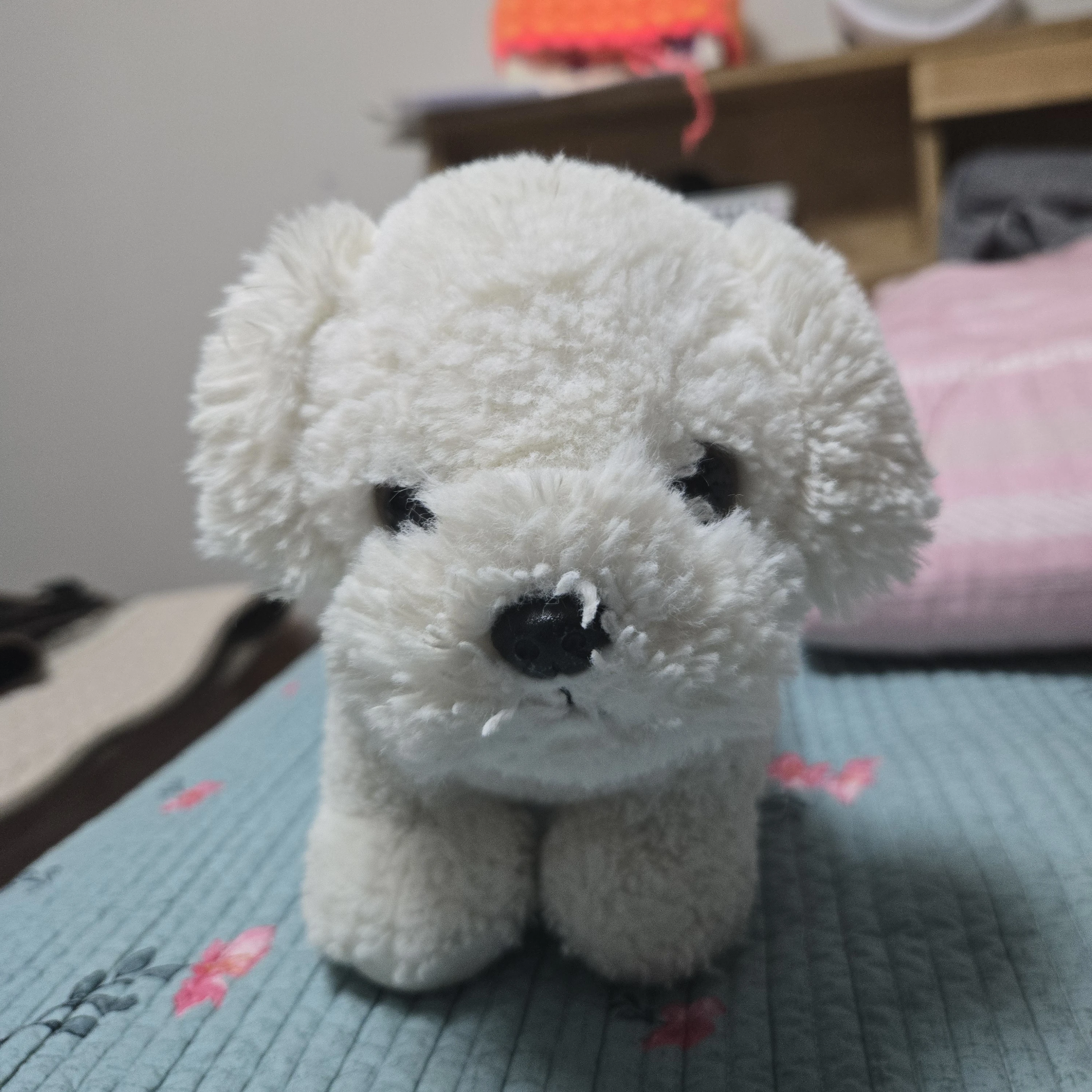 풍키