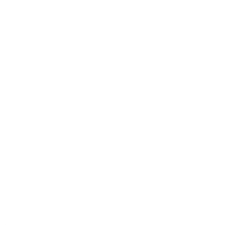 Profile image of Stronghold 5-5