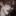 차 연 우