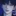 백도현