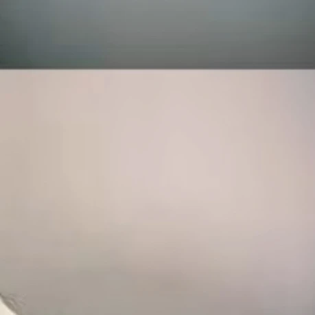 백지헌