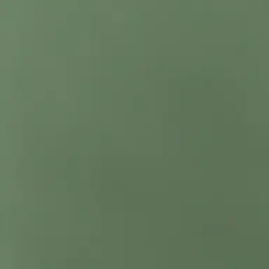 Profile image of n.o