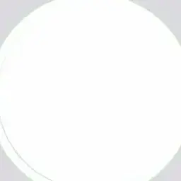 Profile image of ラウール
