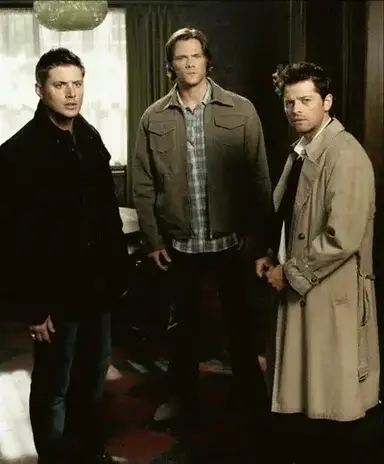 Profile image of Team Free Will