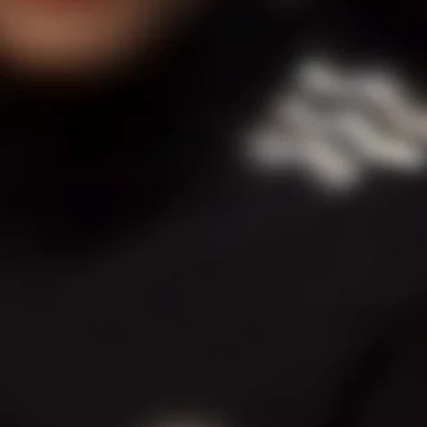 박원빈