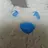 륭륭이