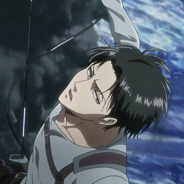 SturdyLion9032의 리바이 아커만