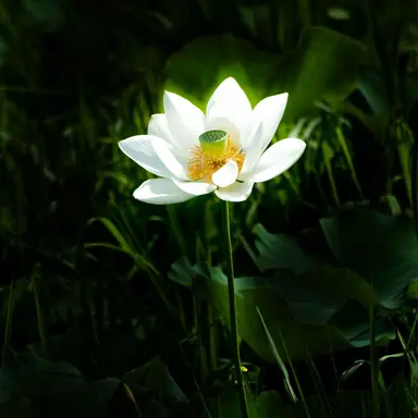 Profile image of 優斗