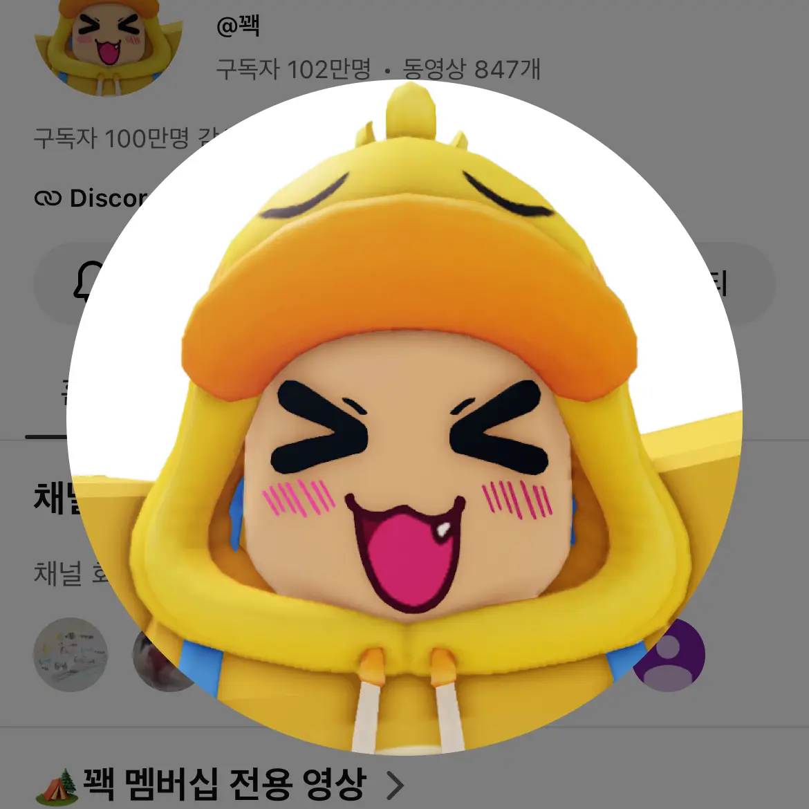 WryPages9006의 채스터 가면 벗기긔!