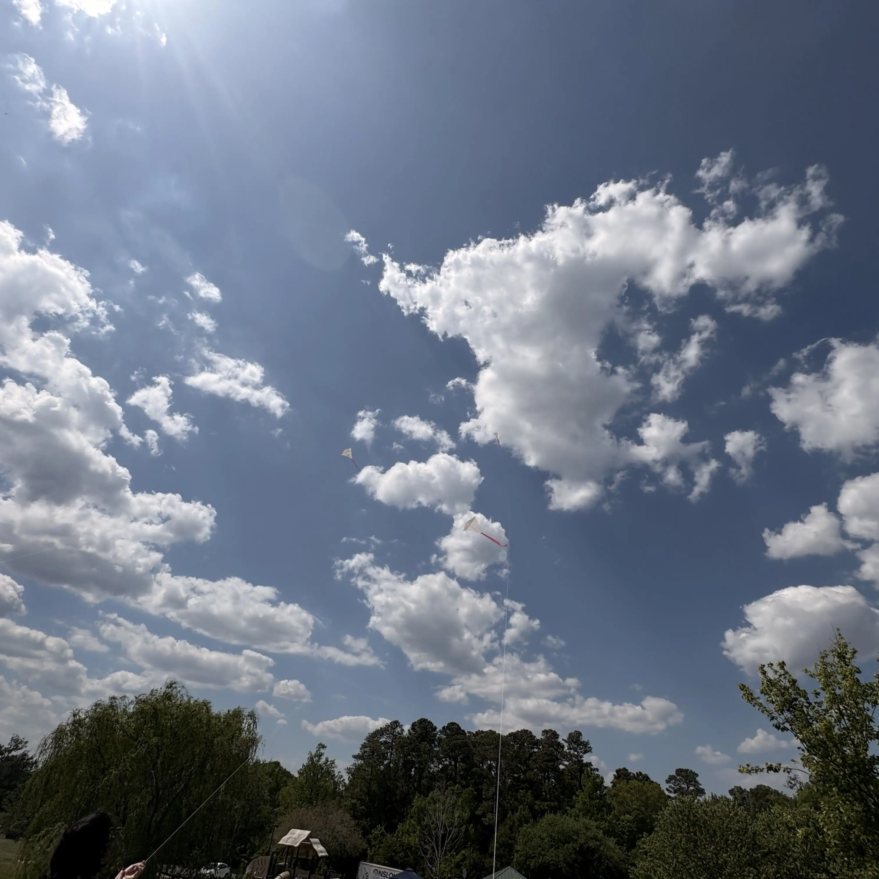 JollyBanjo7558의 Surfers Paradise