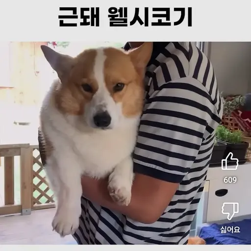 bsjh11의 코코