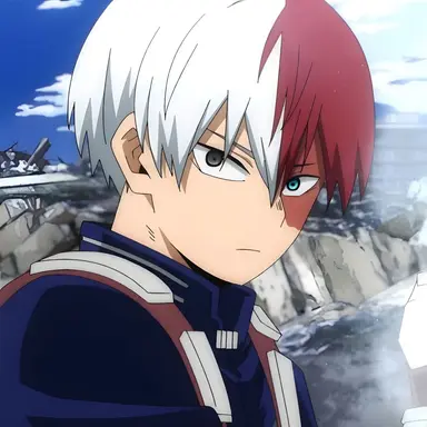 Profile image of Shoto Todoroki