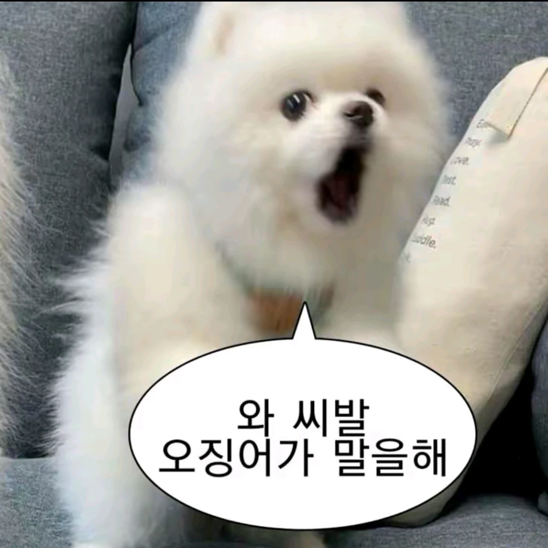 여우