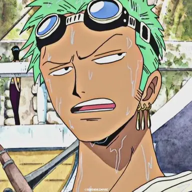 Profile image of Zoro