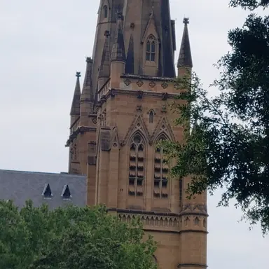 Profile image of 케빈 해리스