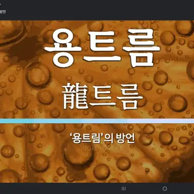 Profile image of 용트름