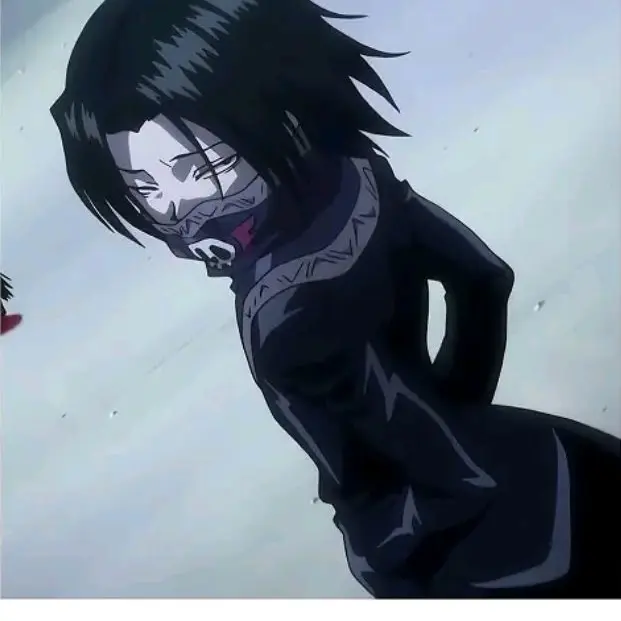 RigidLane7063의 도리벤+헌터×헌터