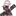 벨로타
