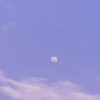 Profile image of 라이즈 매니저