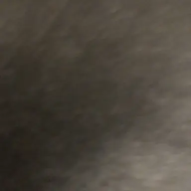 Profile image of モブたち