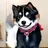 犬化