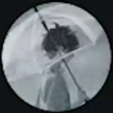 Profile image of 라온