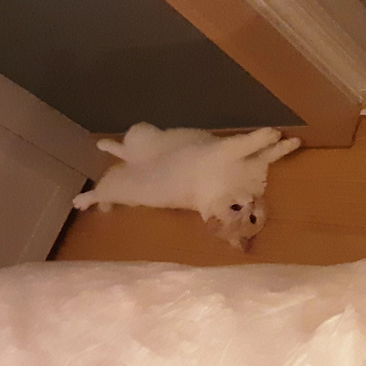 준형