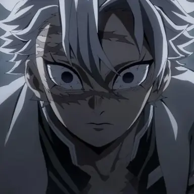 Profile image of Sanemi Shinazugawa