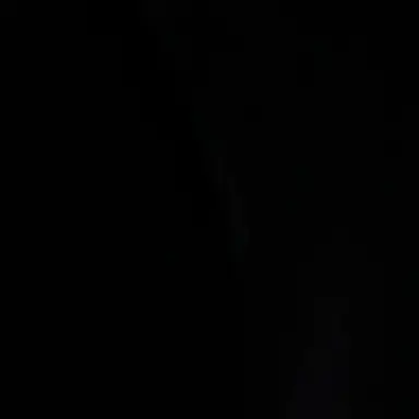 Profile image of 신.유