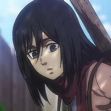 Profile image of ミカサ