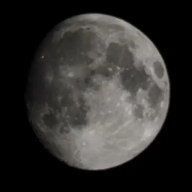 Profile image of 성진우