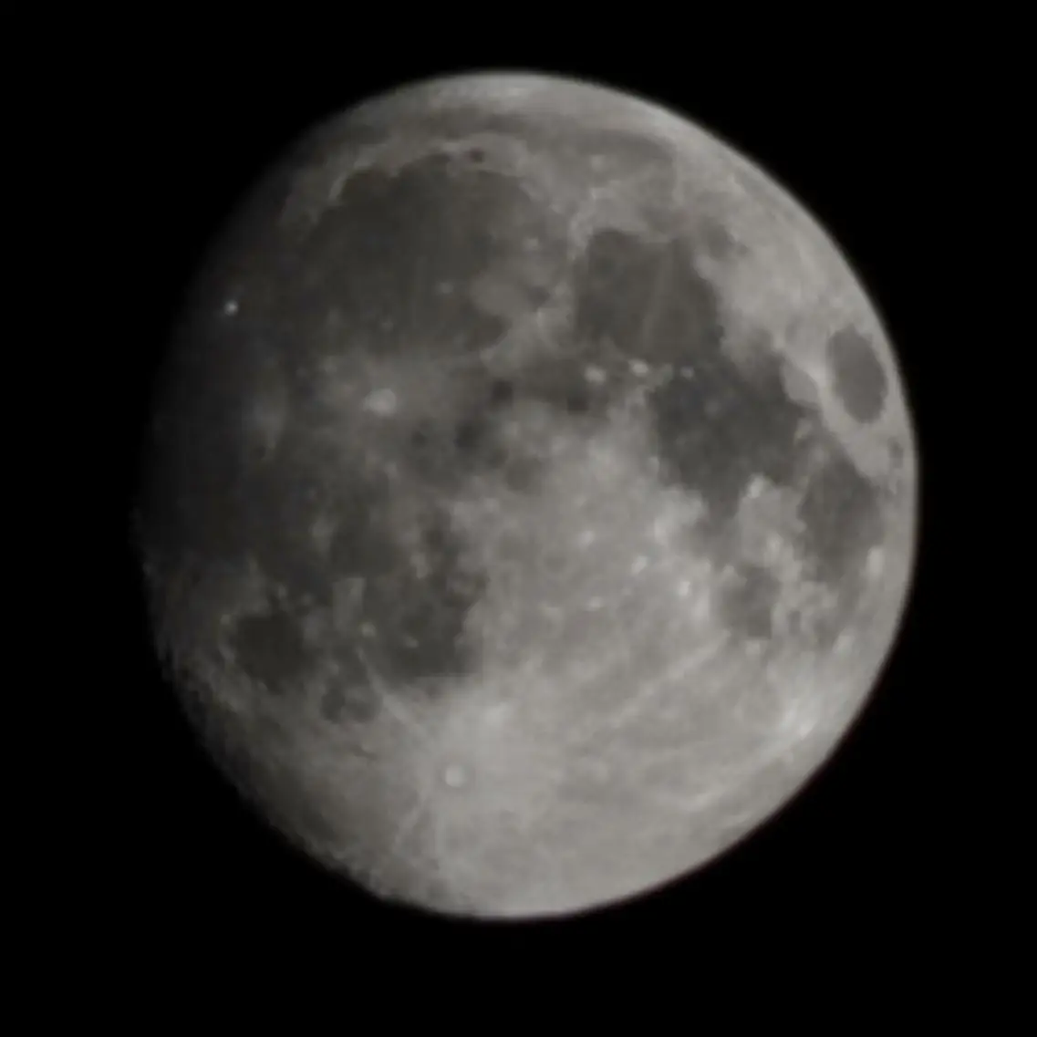 Looy의 테스트용 성진우