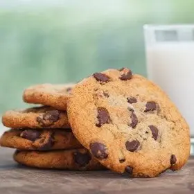 Profile image of 여우