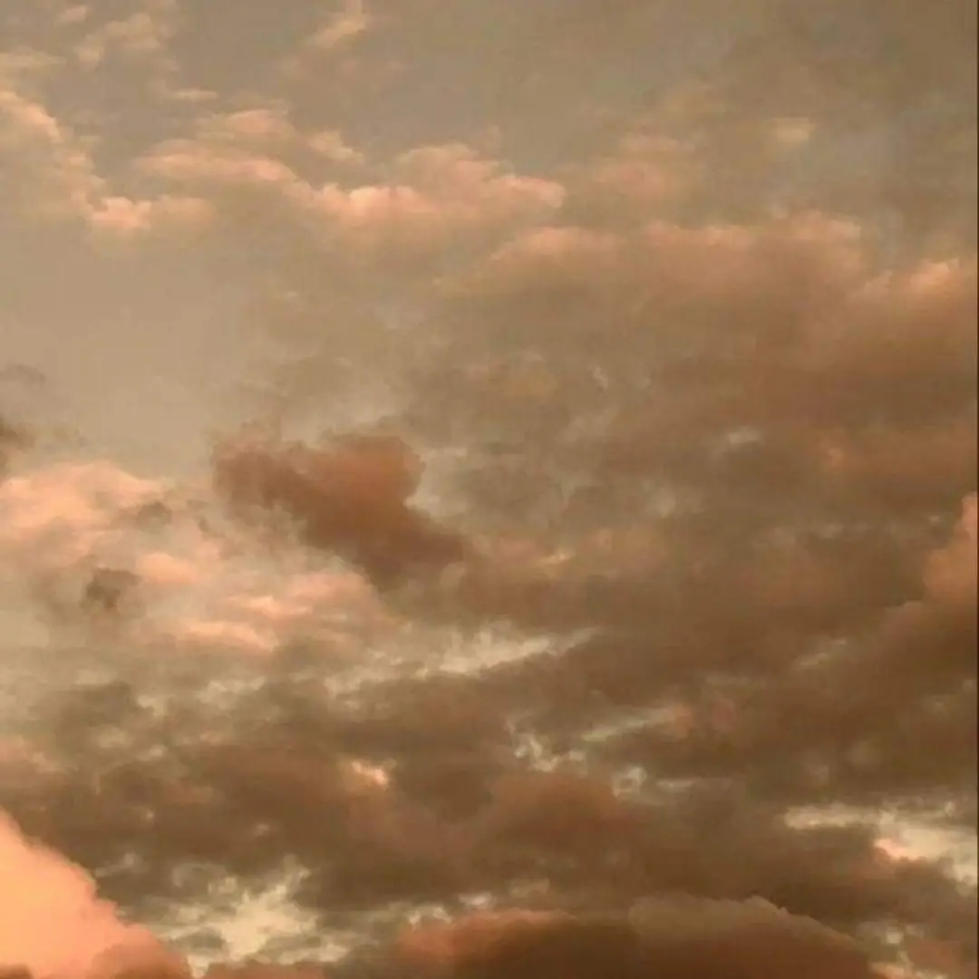 GivingShard6430의 17