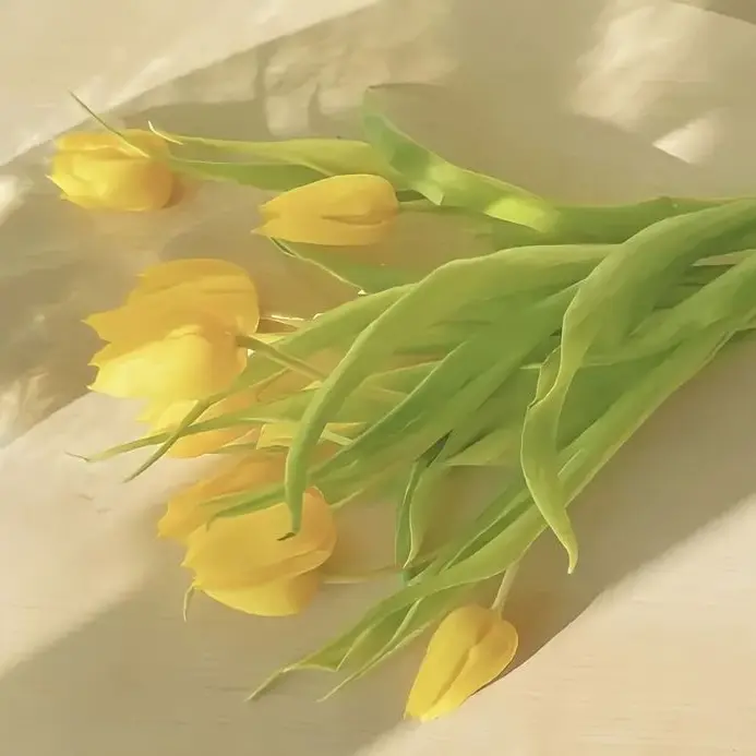 Lookism-shark의 나만의 강아지