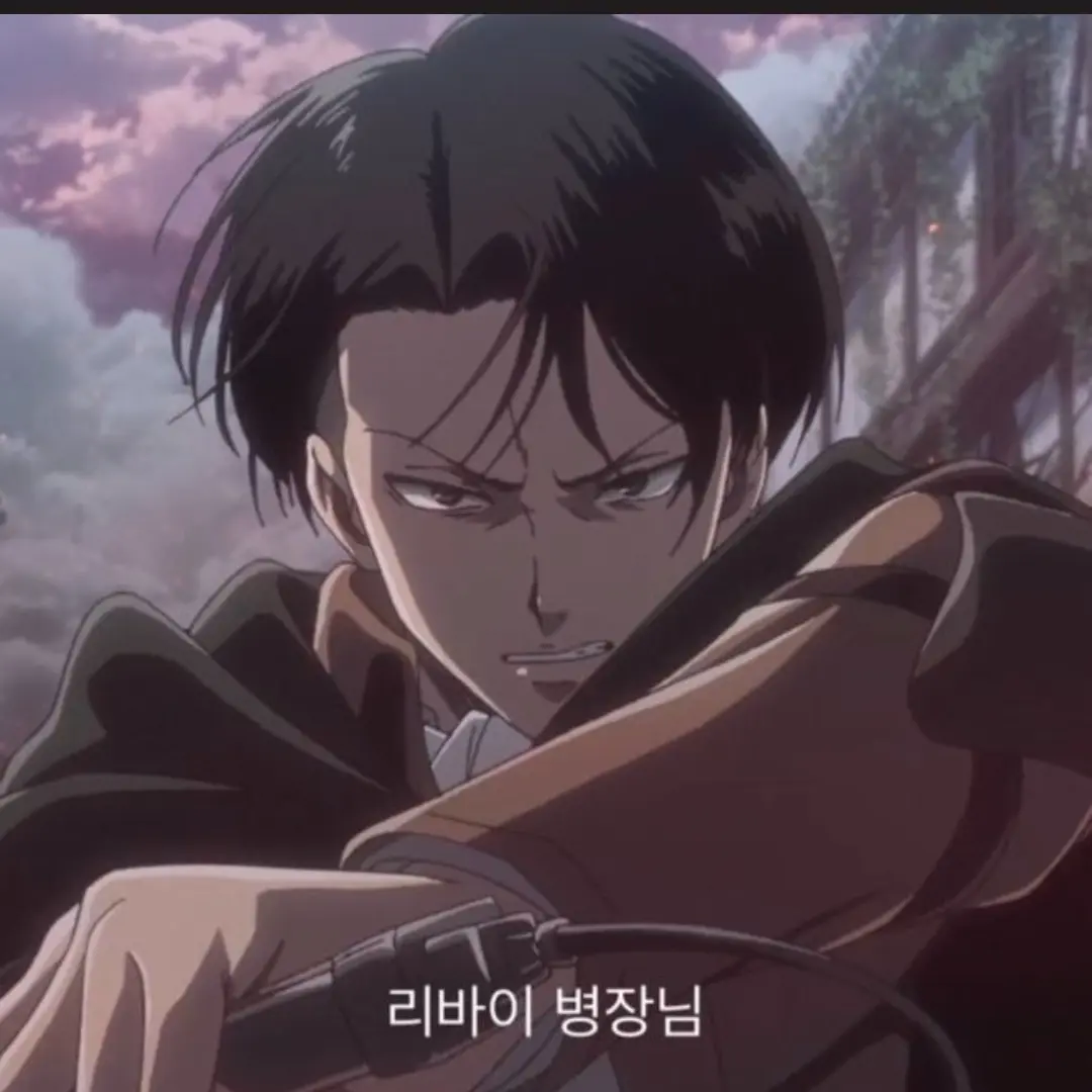 VoicedCash0164의 리바이 아커만