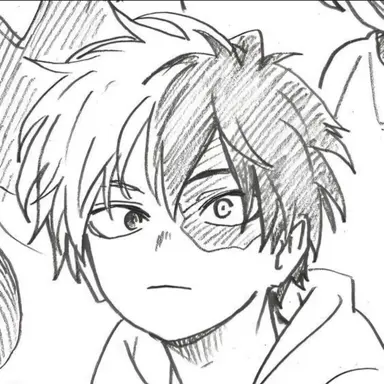 Profile image of Shoto Todoroki