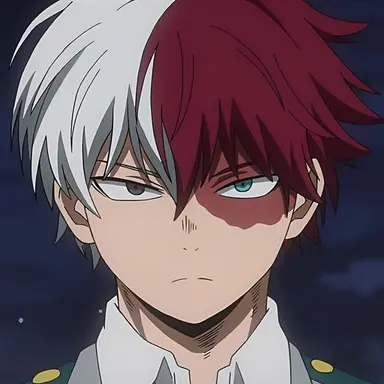 Profile image of Todoroki