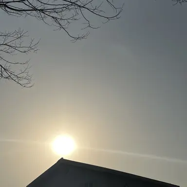 Profile image of 제미니