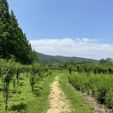 Profile image of 오뉴