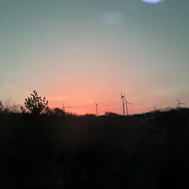 Profile image of 류