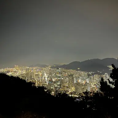 Profile image of 리온