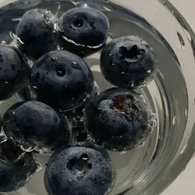 Profile image of 제인