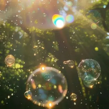 Profile image of 하크