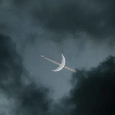 Profile image of 세리온