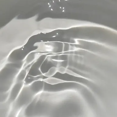 Profile image of 엘라